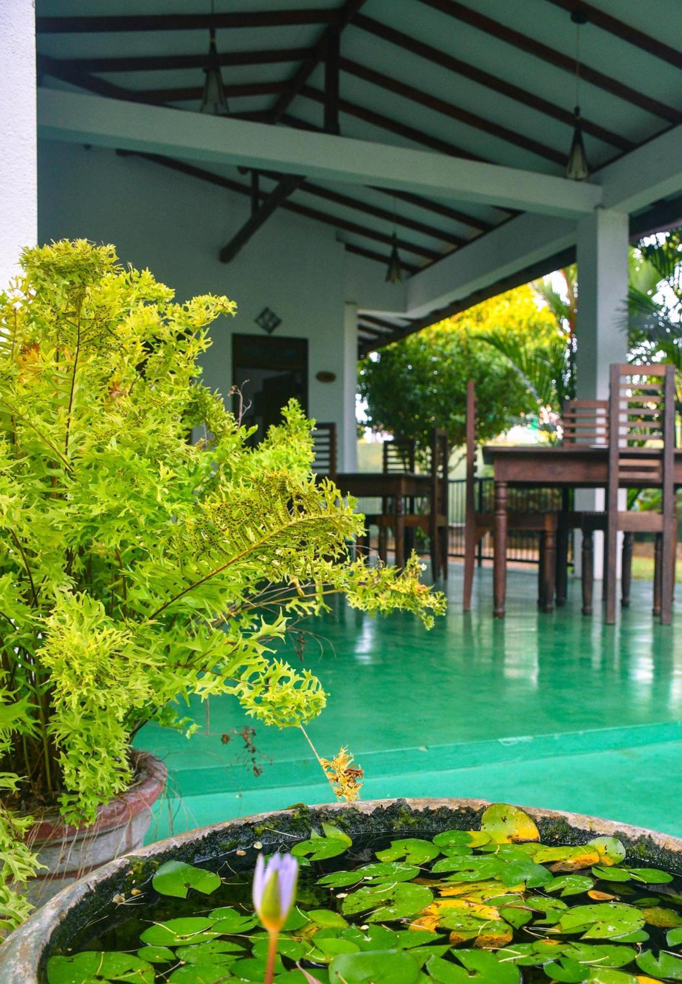White Eagle Hotel Sigiriya Dış mekan fotoğraf
