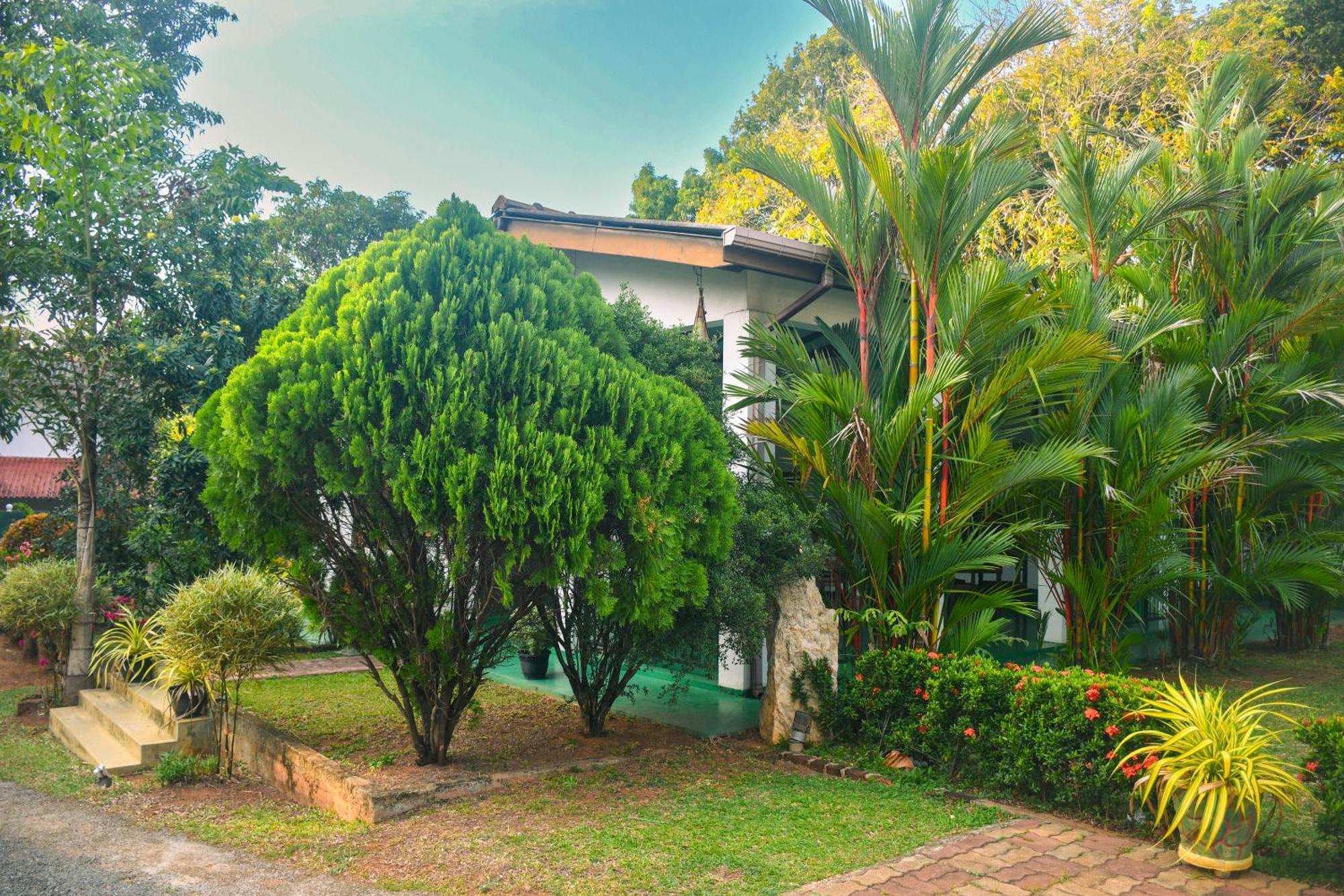 White Eagle Hotel Sigiriya Dış mekan fotoğraf