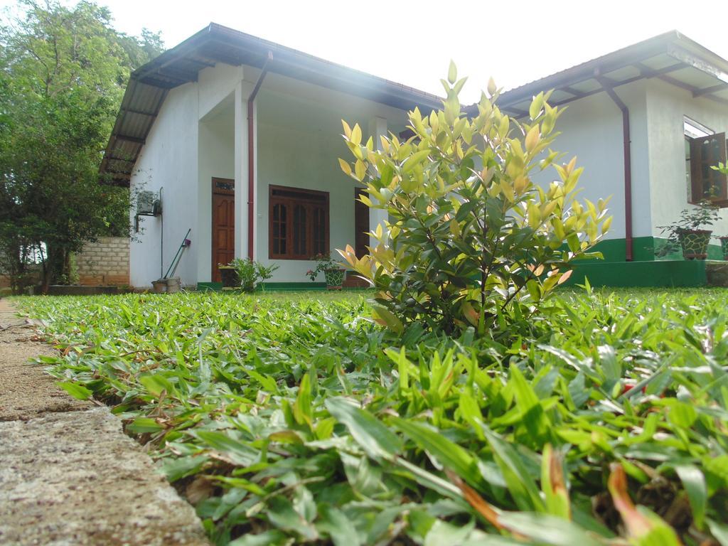 White Eagle Hotel Sigiriya Dış mekan fotoğraf
